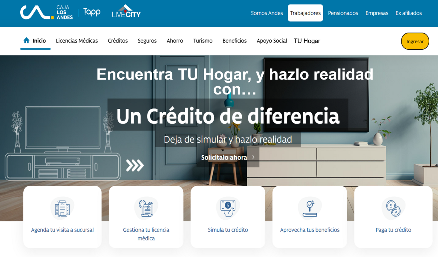 Imagen Principal del Proyecto